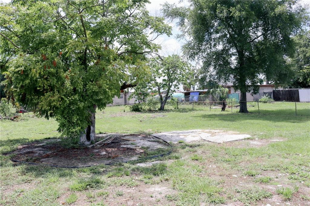 910 North Ruth Avenue Lakeland, FL 33815 - Photo 6 of 19