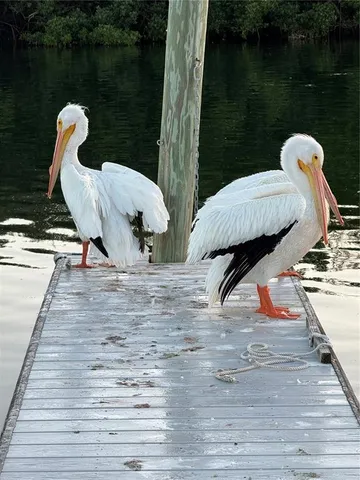 $129,000 | 10315 Cortez Road West, Unit 643, Bradenton, FL 34210