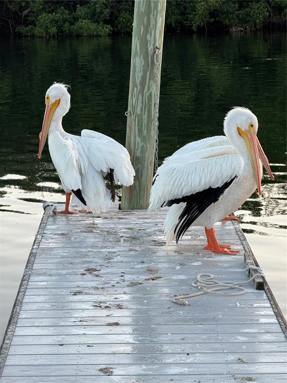 10315 Cortez Road West, Unit 643 Bradenton, FL 34210 - Photo 52 of 52 a view of a lake from a lounge chairs