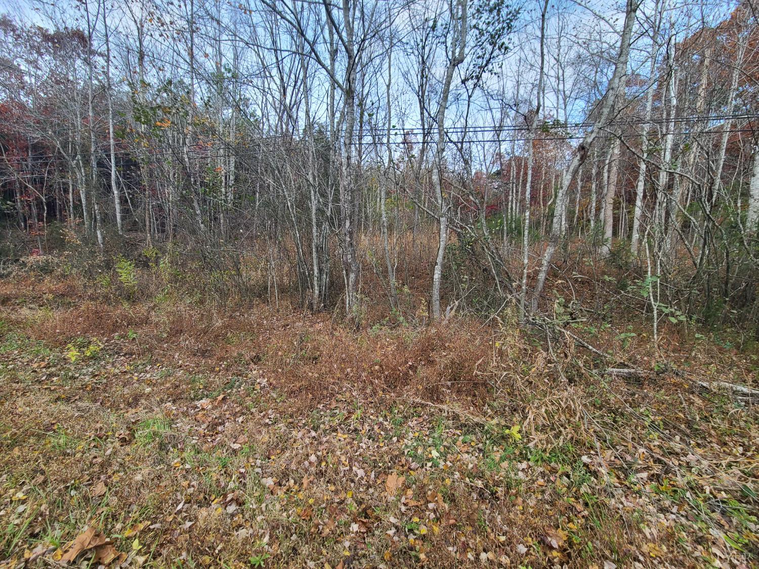 12 Pittsville Road Gretna, VA 24557 - Photo 2 of 5