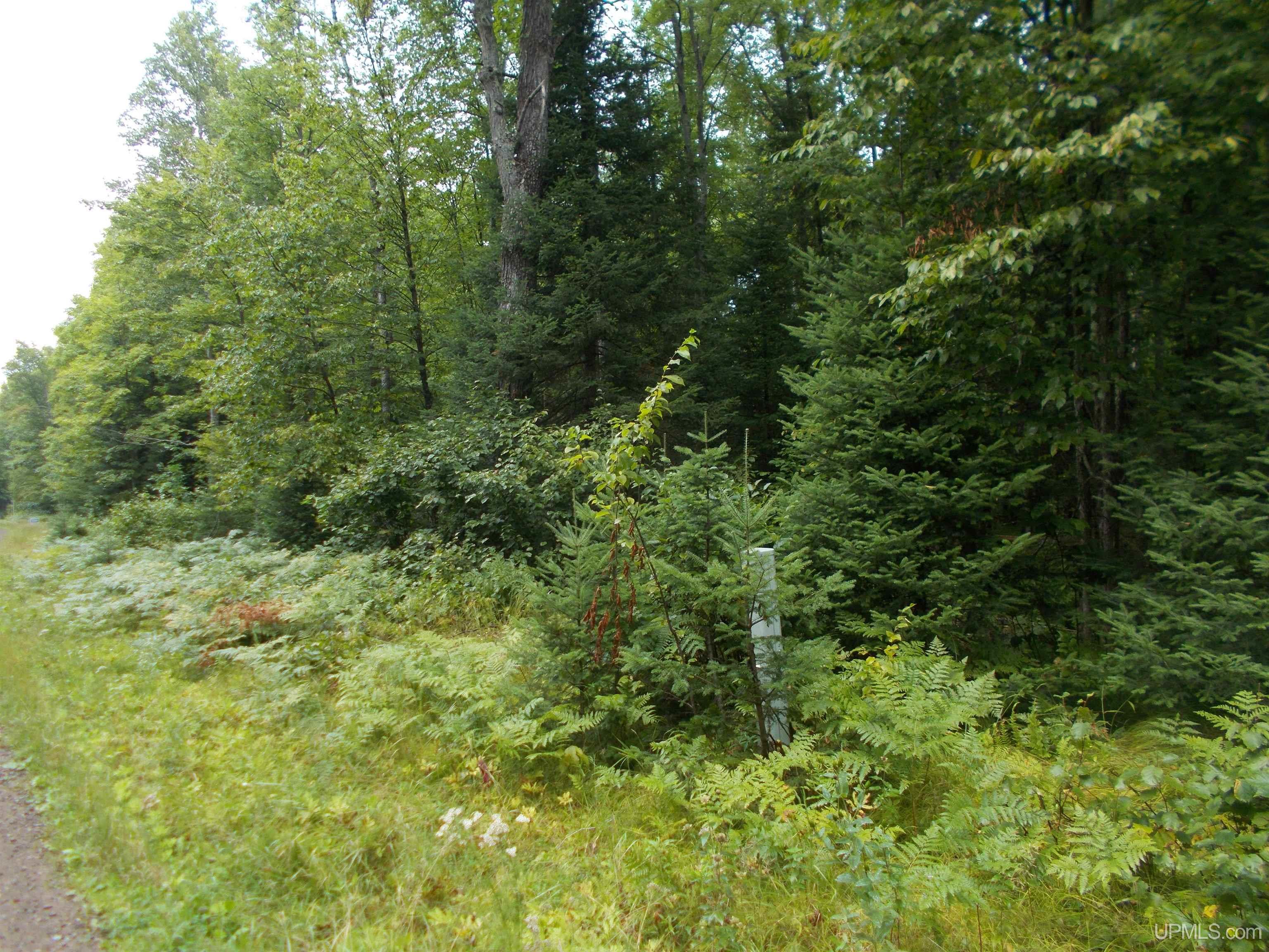 T-wi Turtle Creek Road Florence, WI 54121 - Photo 4 of 10