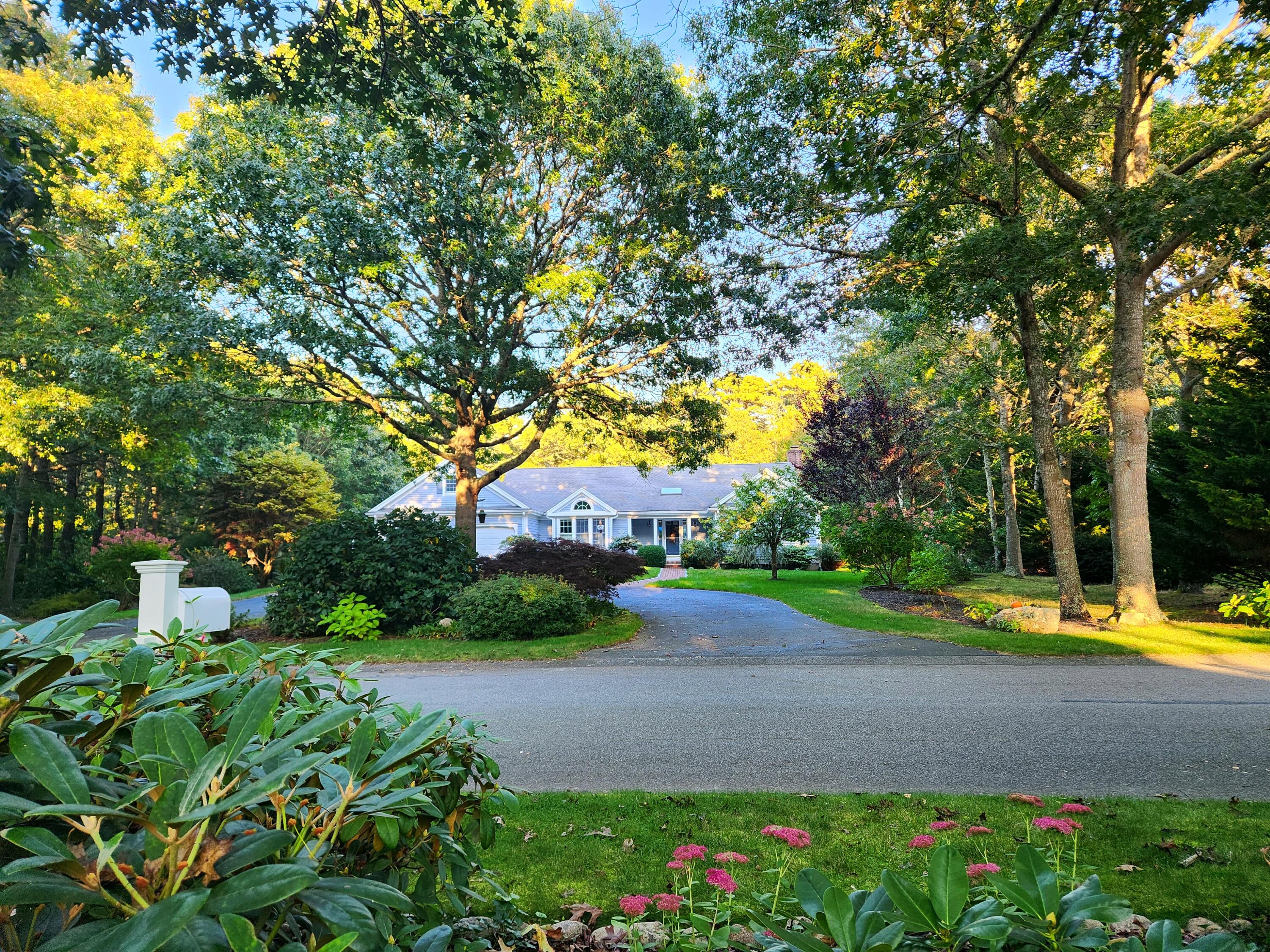 155 Far Fields Road Brewster, MA 02631 - Photo 2 of 40 a view of a garden with houses