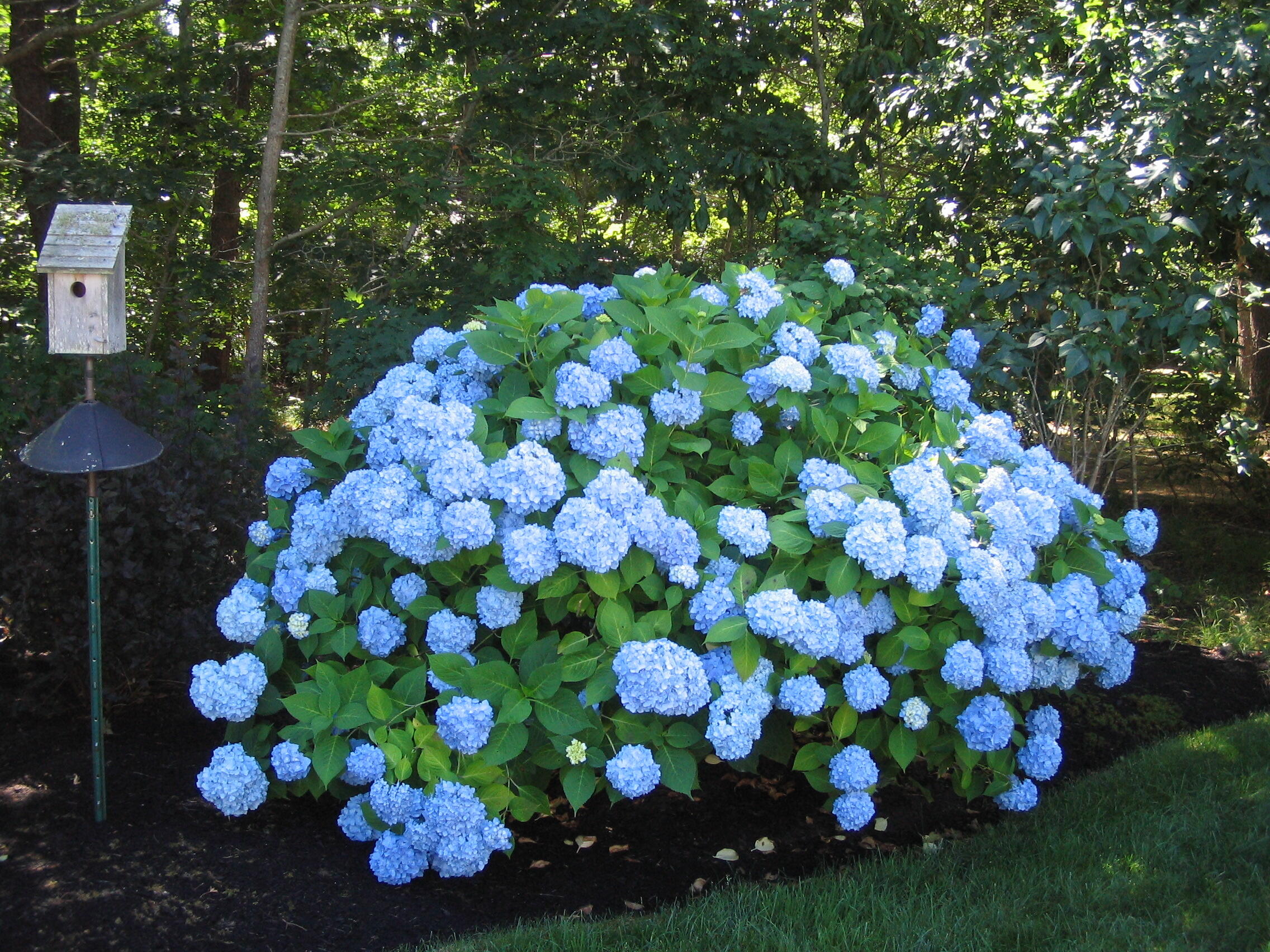 155 Far Fields Road Brewster, MA 02631 - Photo 27 of 40