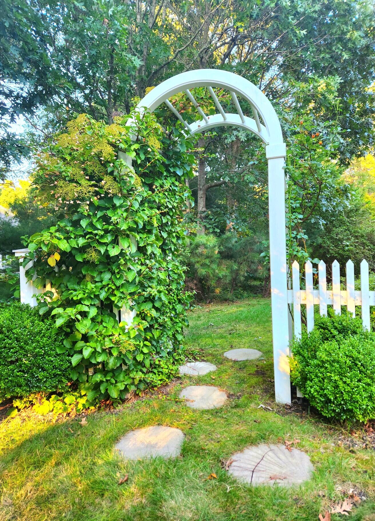 155 Far Fields Road Brewster, MA 02631 - Photo 28 of 40 a view of a garden with large trees