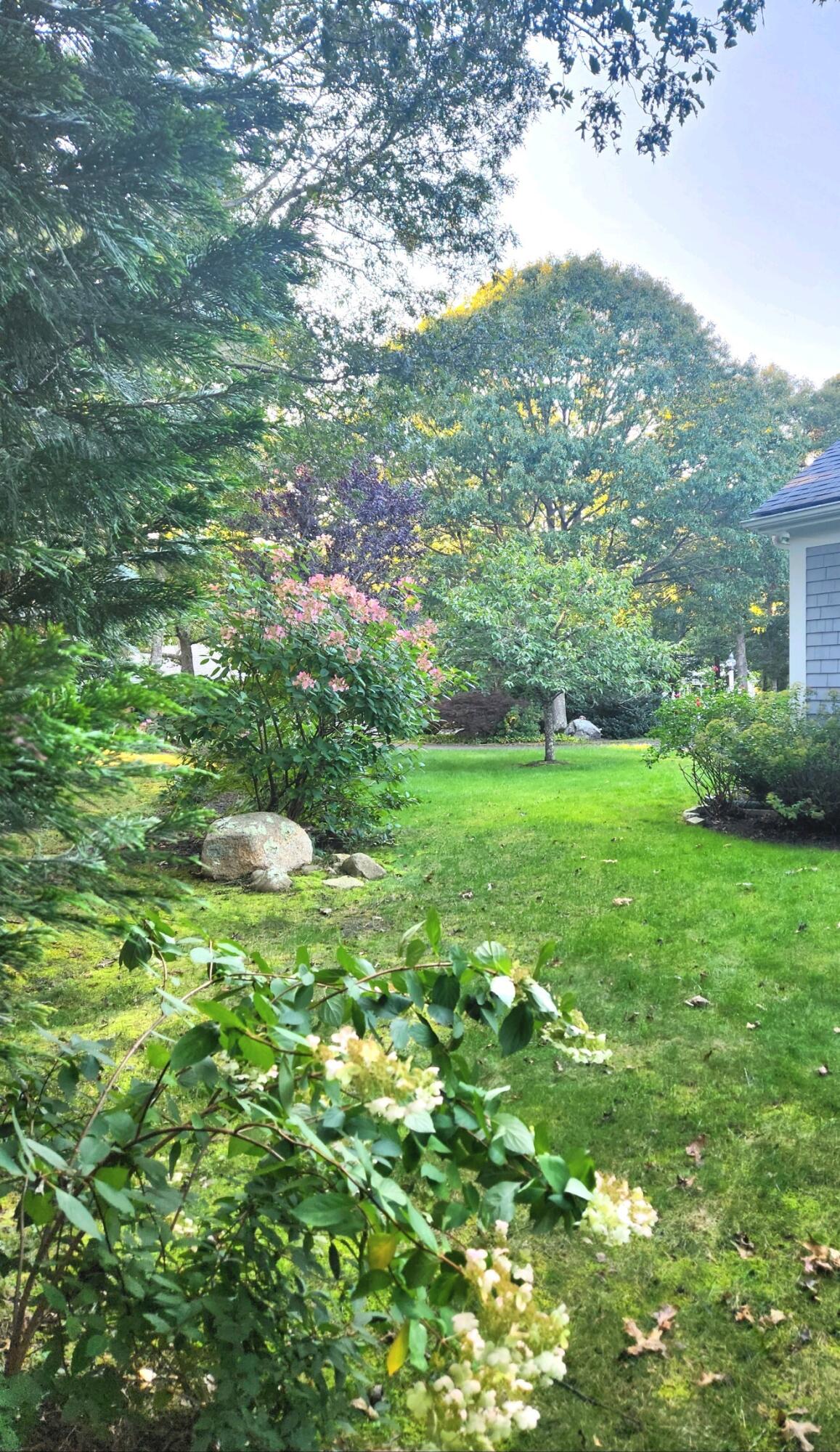 155 Far Fields Road Brewster, MA 02631 - Photo 29 of 40 a view of a big yard with a large tree