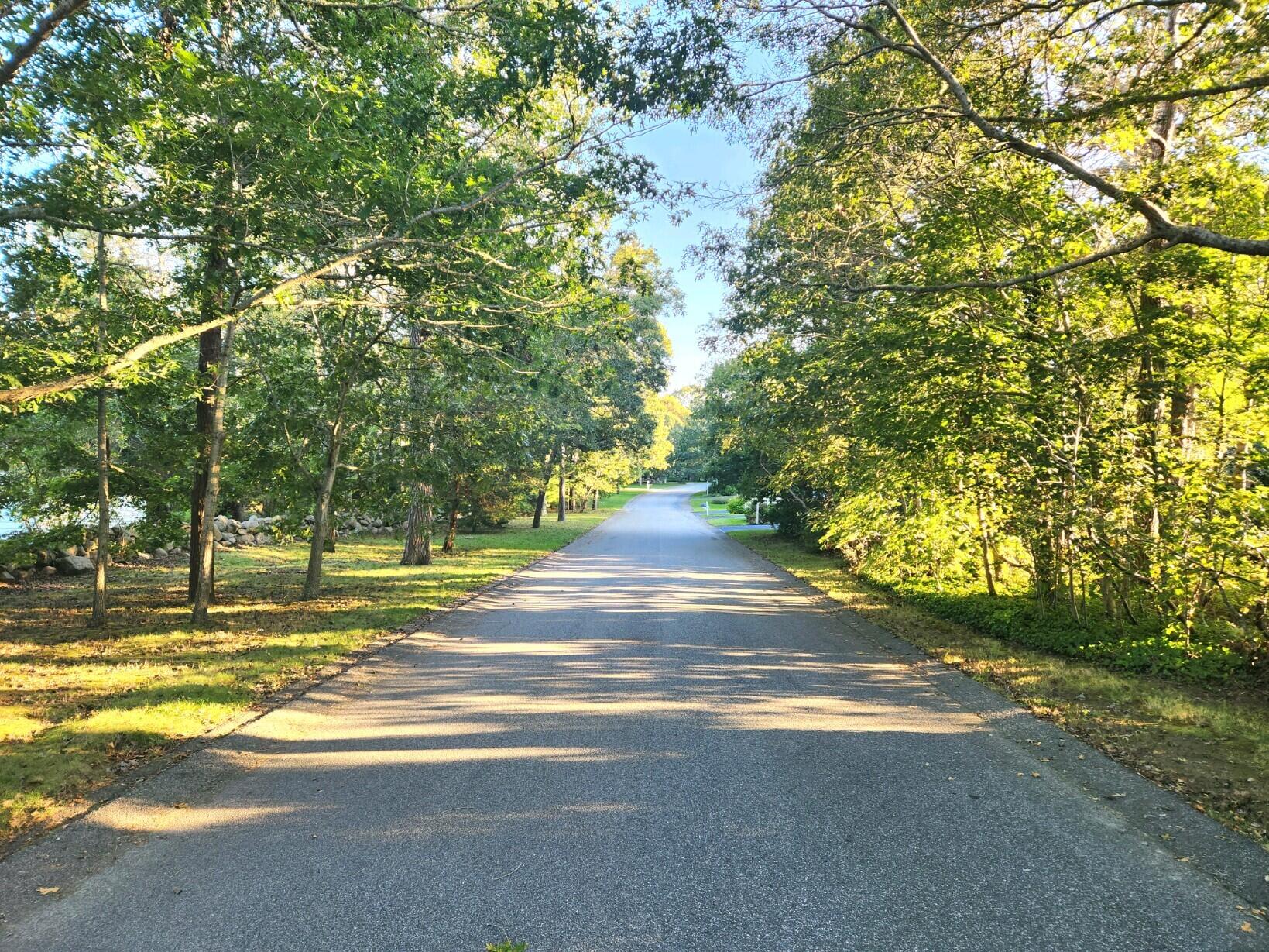 155 Far Fields Road Brewster, MA 02631 - Photo 3 of 40 a view of road with large trees