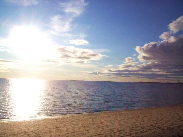 155 Far Fields Road Brewster, MA 02631 - Photo 32 of 40