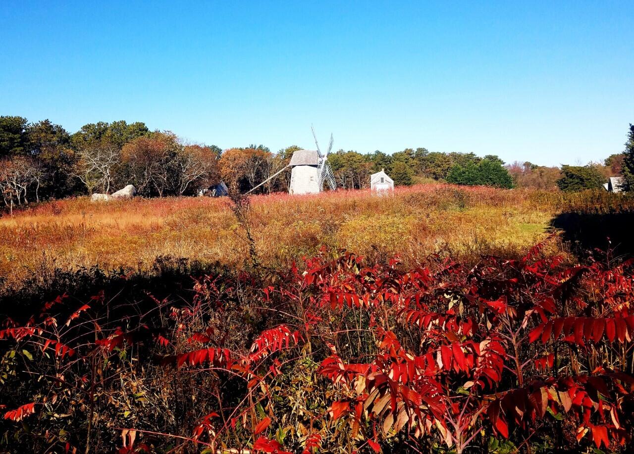 155 Far Fields Road Brewster, MA 02631 - Photo 38 of 40 a view of a lake