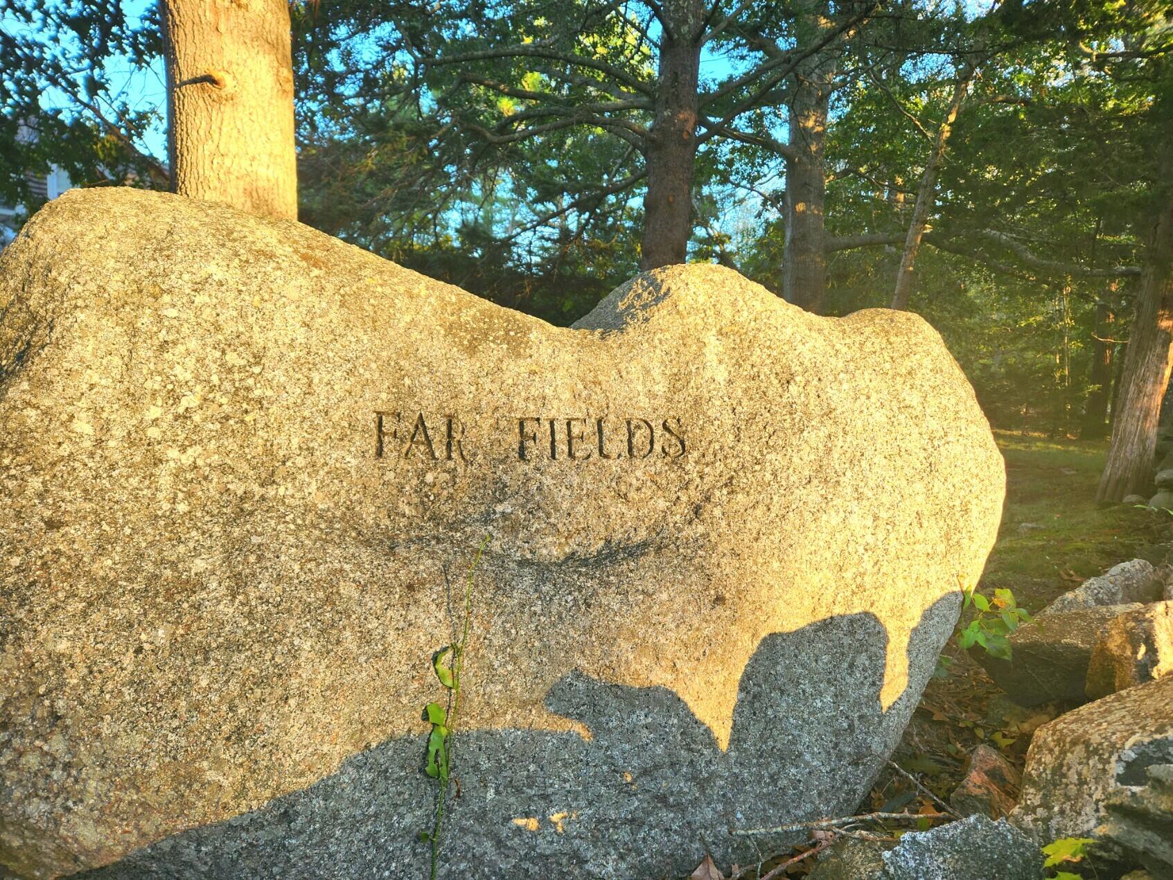 155 Far Fields Road Brewster, MA 02631 - Photo 39 of 40 a view of back yard of the house