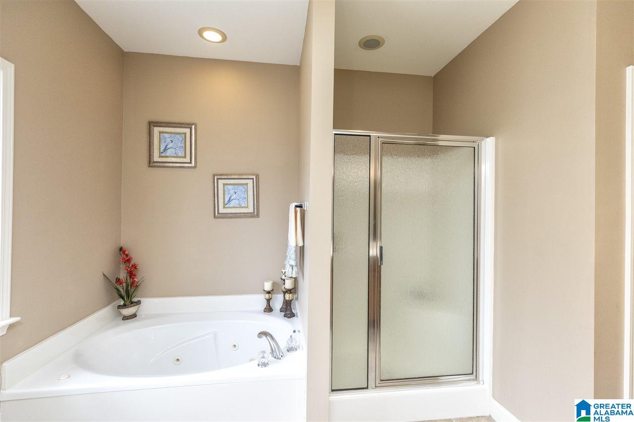 428 Sunset Lake Circle Chelsea, AL 35043 - Photo 25 of 30