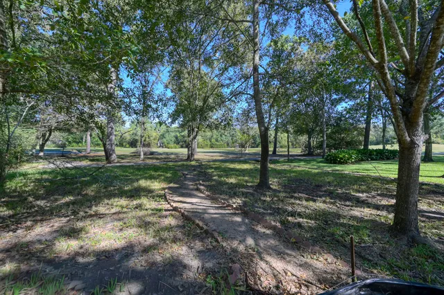 a view of dirt field with trees