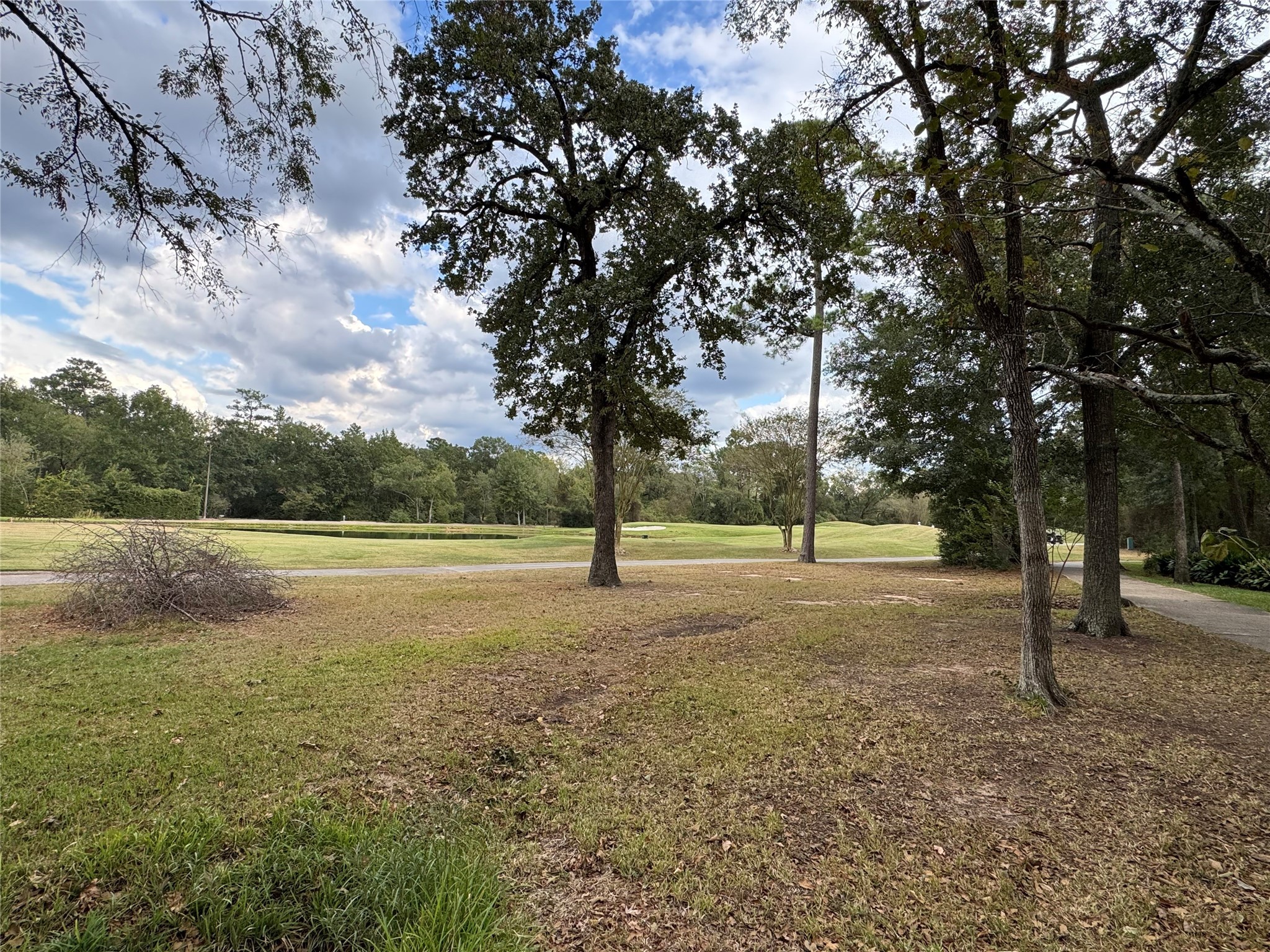 10816 Colony Wood Place Spring, TX 77380 - Photo 12 of 15 a view of dirt field with trees