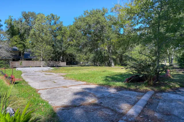 a view of a park with large trees