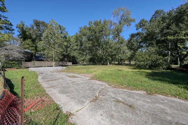 a view of a park with large trees