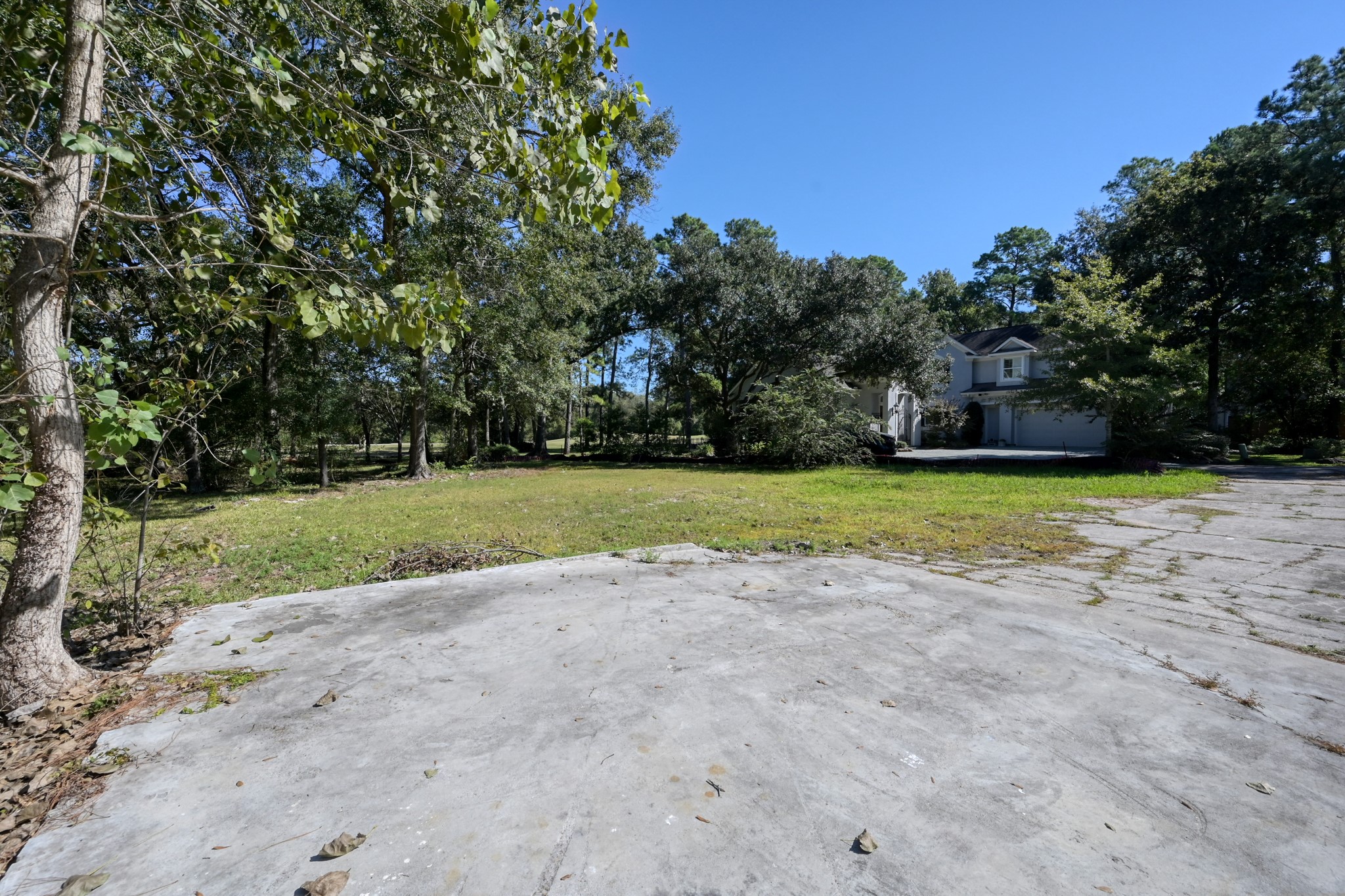 10816 Colony Wood Place Spring, TX 77380 - Photo 15 of 15 a view of a park with large trees