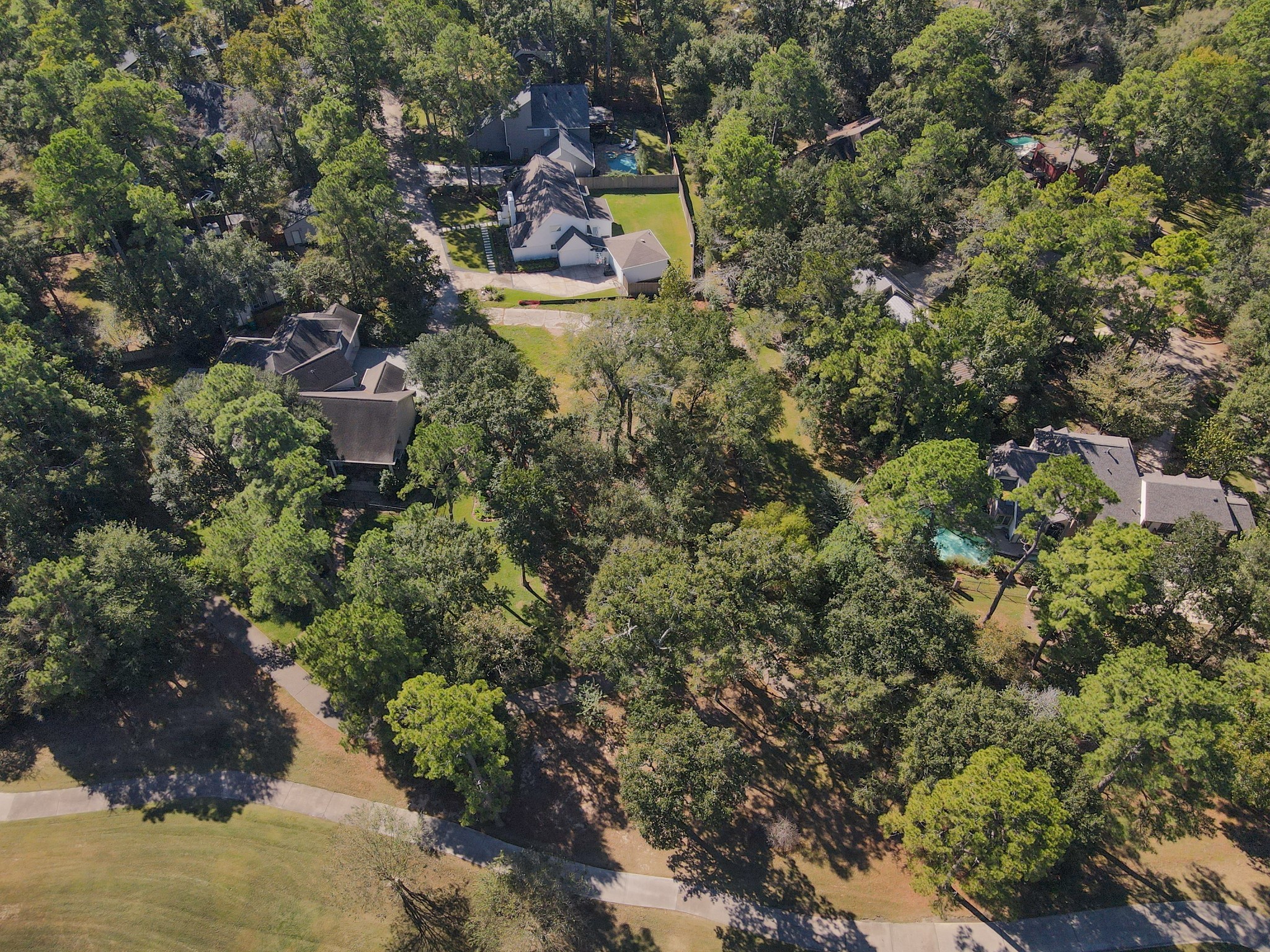 10816 Colony Wood Place Spring, TX 77380 - Photo 8 of 15 a view of outdoor space and yard