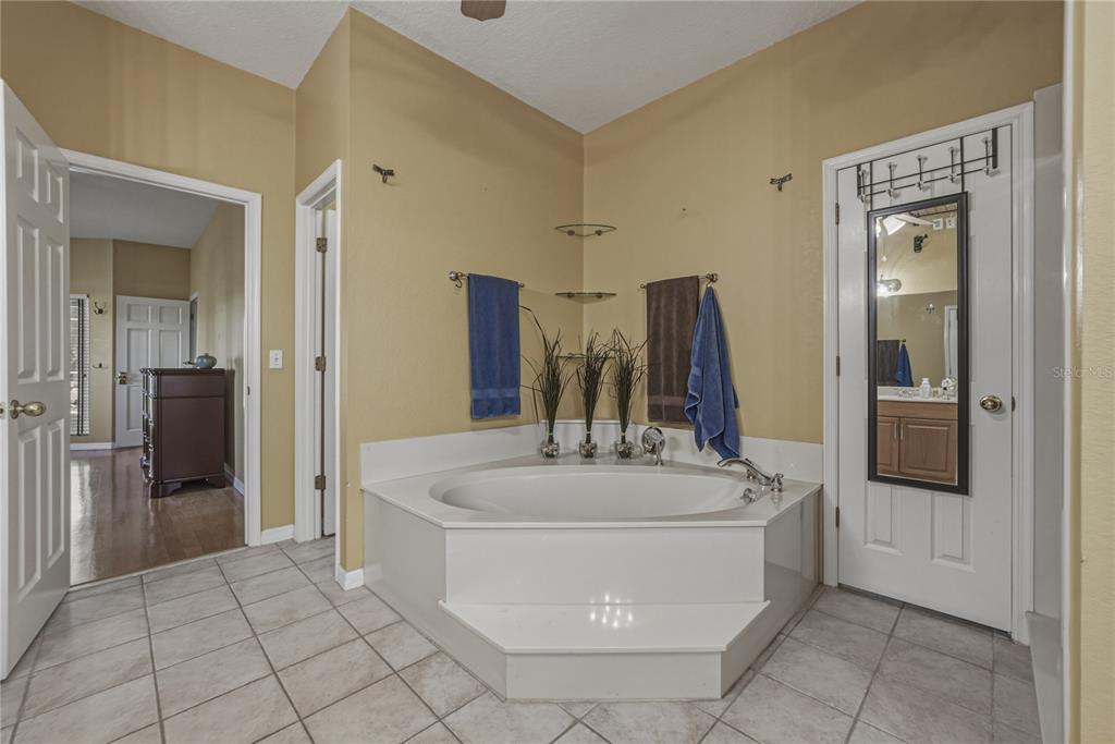 29001 Bayhead Road Dade City, FL 33523 - Photo 31 of 78