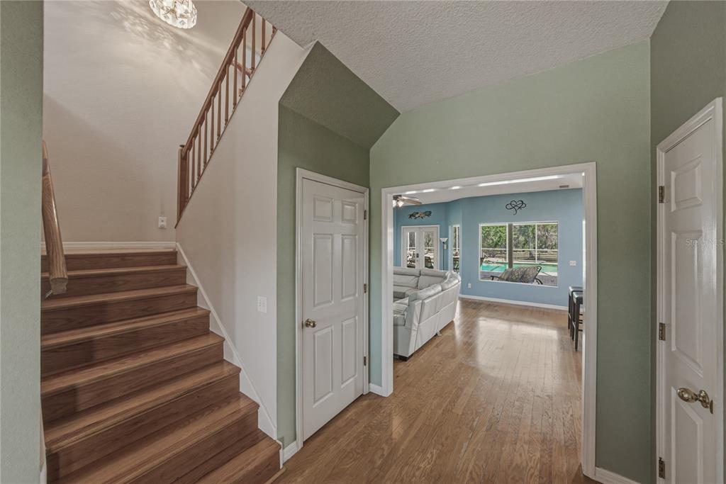 29001 Bayhead Road Dade City, FL 33523 - Photo 47 of 78