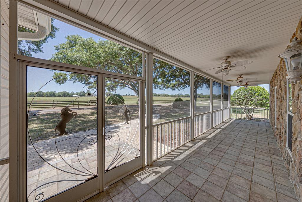 29001 Bayhead Road Dade City, FL 33523 - Photo 10 of 78