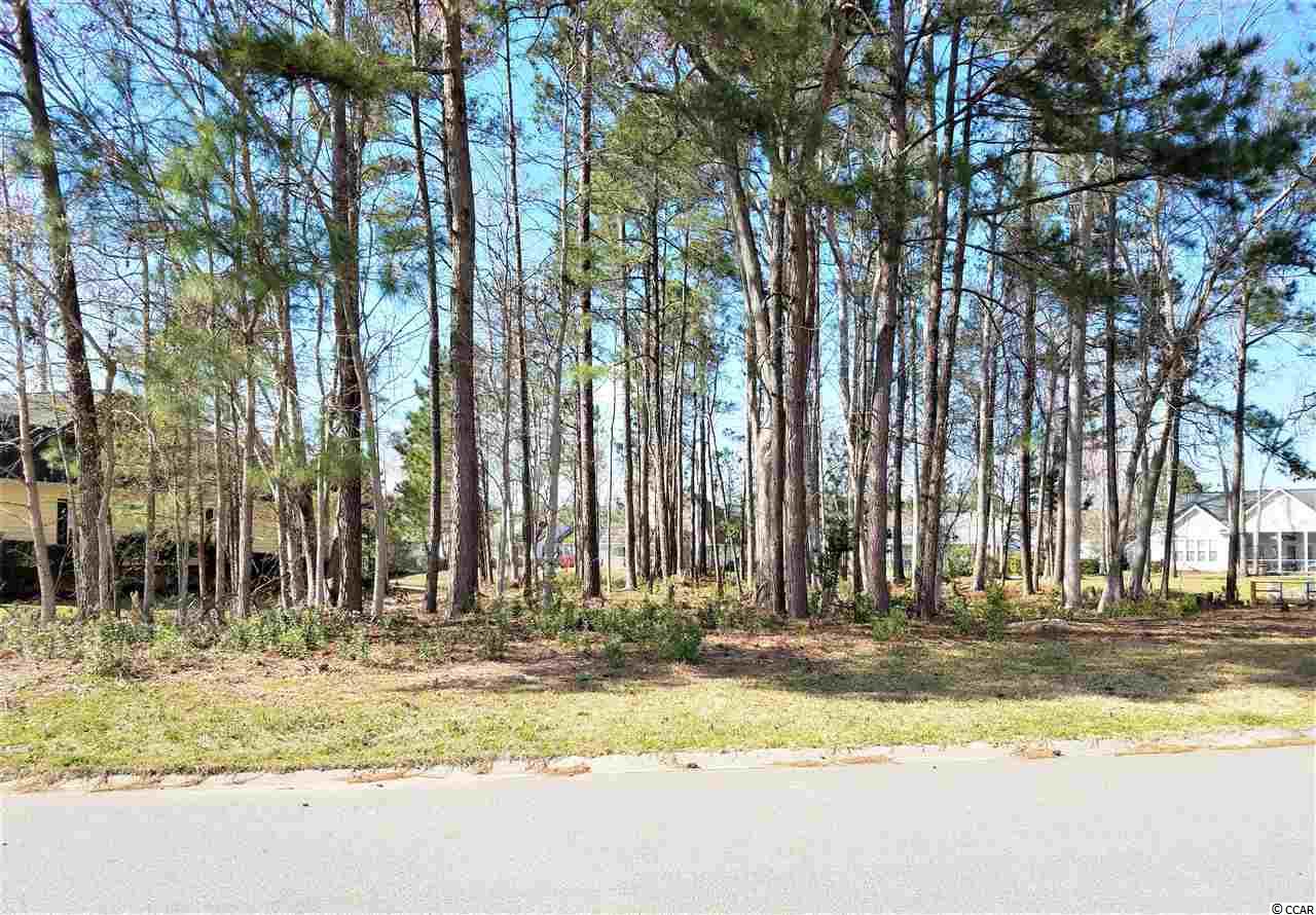 Lot 1 Broad River Road Myrtle Beach, SC 29588 - Photo 2 of 11 Gallery Image 2