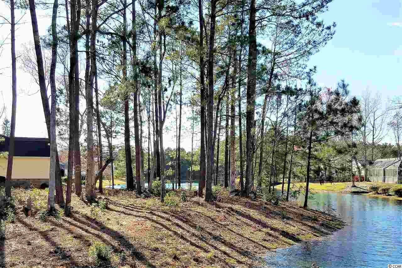 Lot 1 Broad River Road Myrtle Beach, SC 29588 - Photo 3 of 11 Gallery Image 3