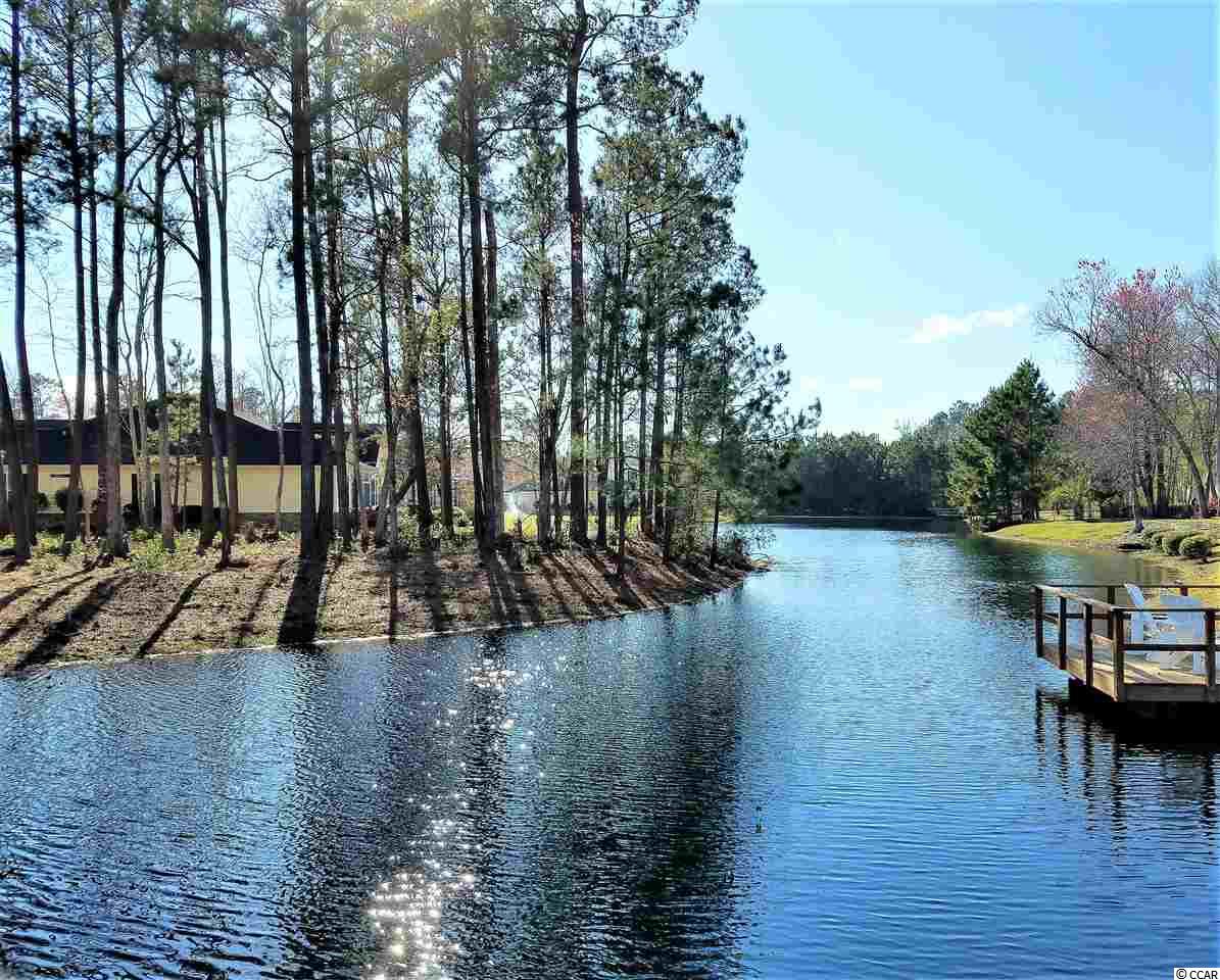 Lot 1 Broad River Road Myrtle Beach, SC 29588 - Photo 4 of 11 Gallery Image 4