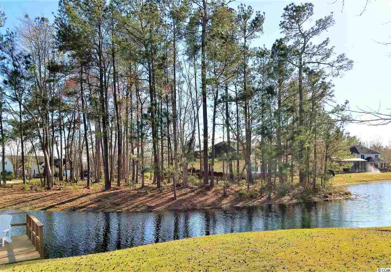 Lot 1 Broad River Road Myrtle Beach, SC 29588 - Photo 5 of 11 Gallery Image 5