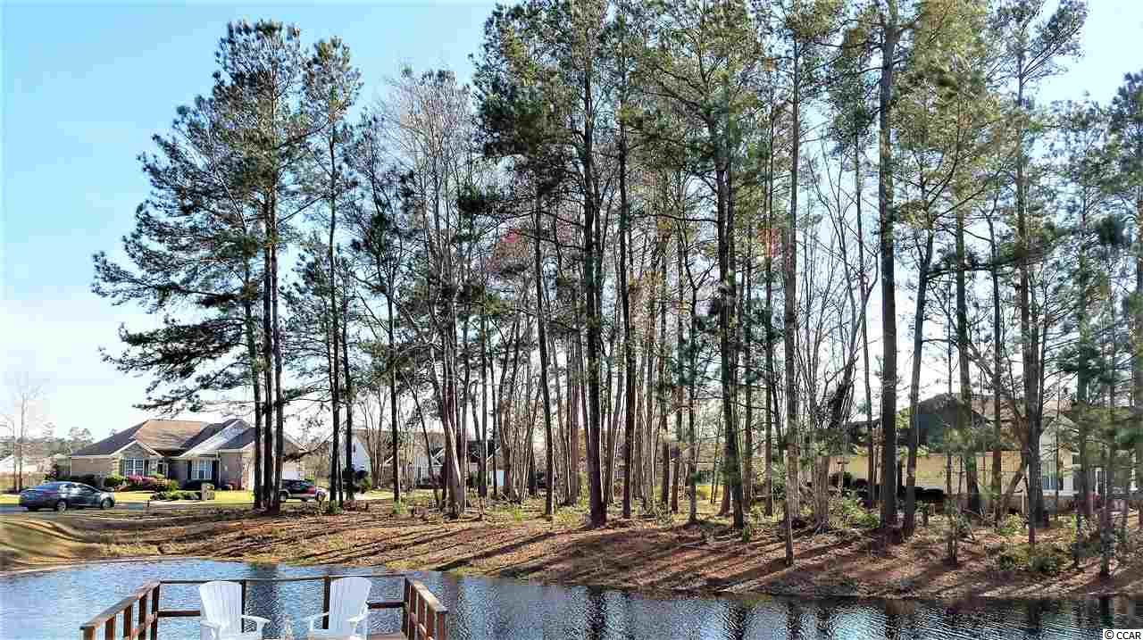 Lot 1 Broad River Road Myrtle Beach, SC 29588 - Photo 6 of 11 Gallery Image 6