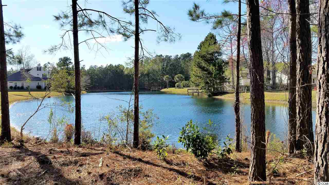 Lot 1 Broad River Road Myrtle Beach, SC 29588 - Photo 7 of 11 Gallery Image 7