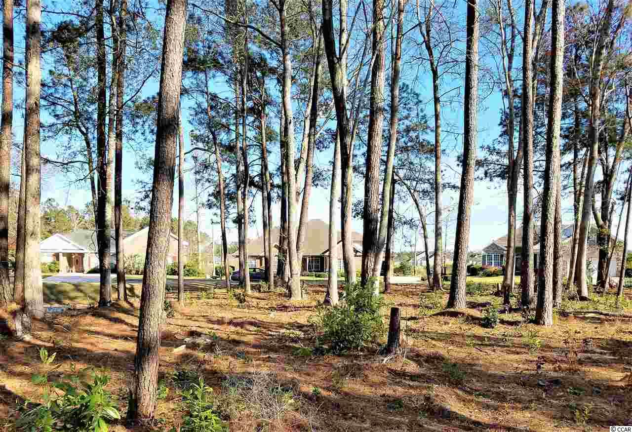 Lot 1 Broad River Road Myrtle Beach, SC 29588 - Photo 8 of 11 Gallery Image 8
