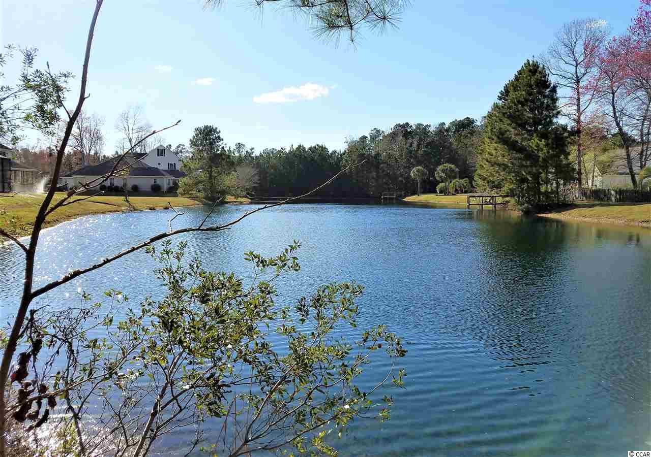 Lot 1 Broad River Road Myrtle Beach, SC 29588 - Photo 9 of 11 Gallery Image 9
