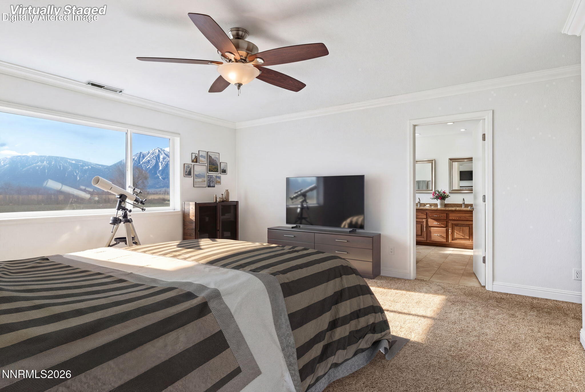 1663 Mackland Avenue Minden, NV 89423 - Photo 15 of 27 a bedroom with a bed and a television