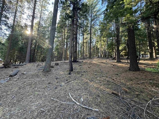 673 East Mountain Ridge Road Lake Almanor, CA 96137 - Photo 1 of 4 Gallery Image 1