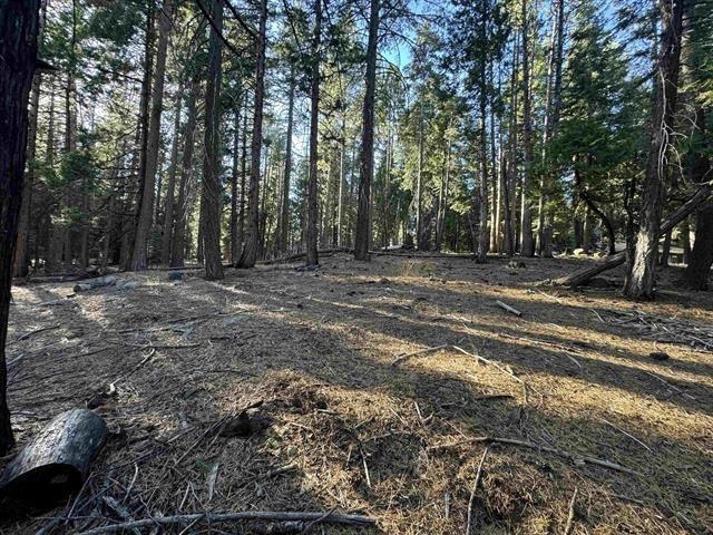 673 East Mountain Ridge Road Lake Almanor, CA 96137 - Photo 2 of 4 Gallery Image 2
