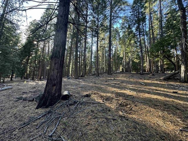 673 East Mountain Ridge Road Lake Almanor, CA 96137 - Photo 3 of 4 Gallery Image 3