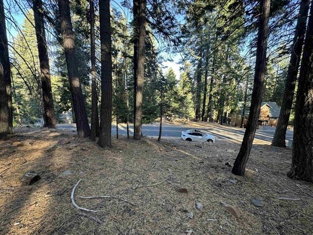 673 East Mountain Ridge Road Lake Almanor, CA 96137 - Photo 4 of 4 Gallery Image 4
