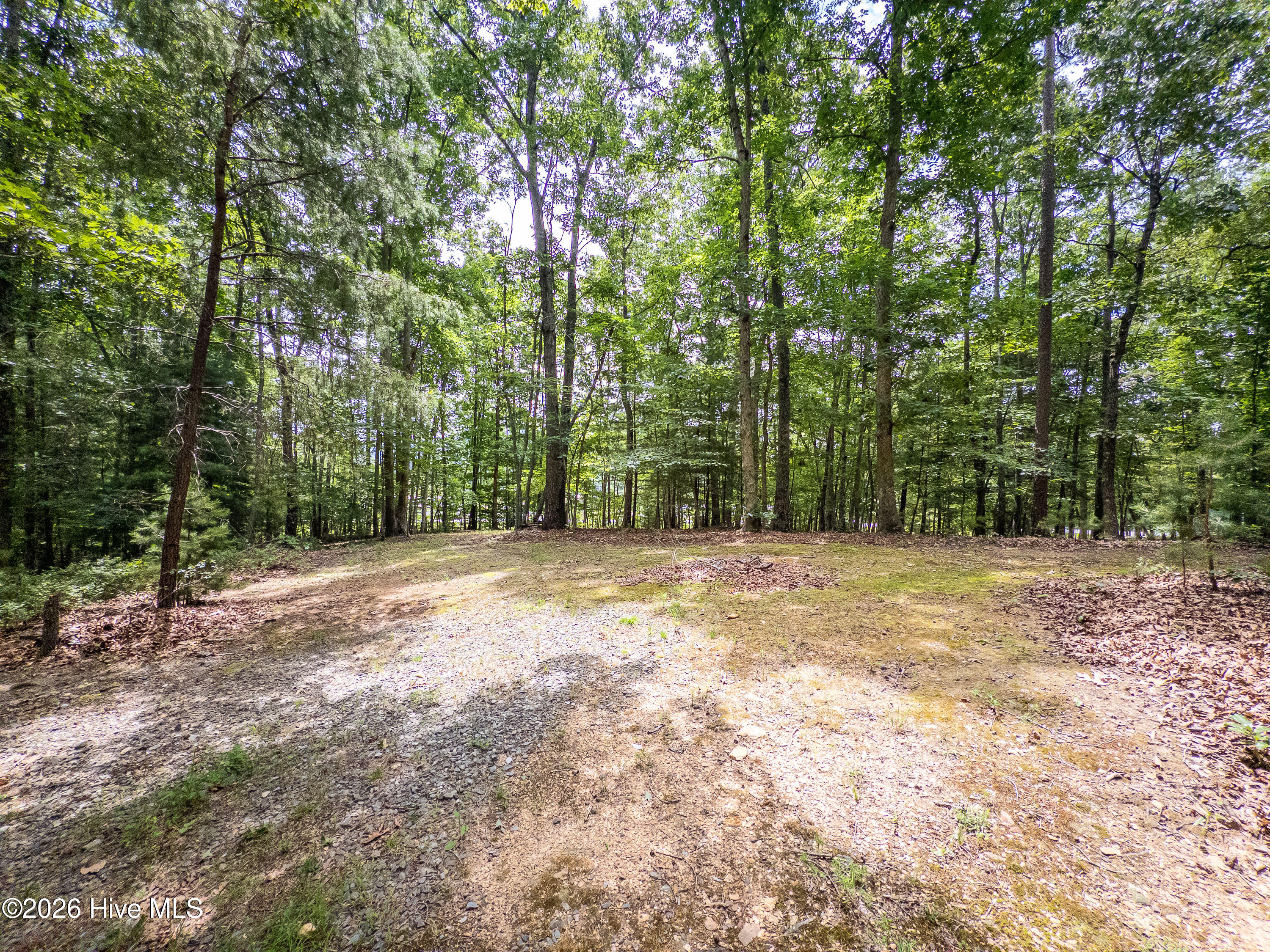 168 Lilac Trail Murphy, NC 28906 - Photo 56 of 60