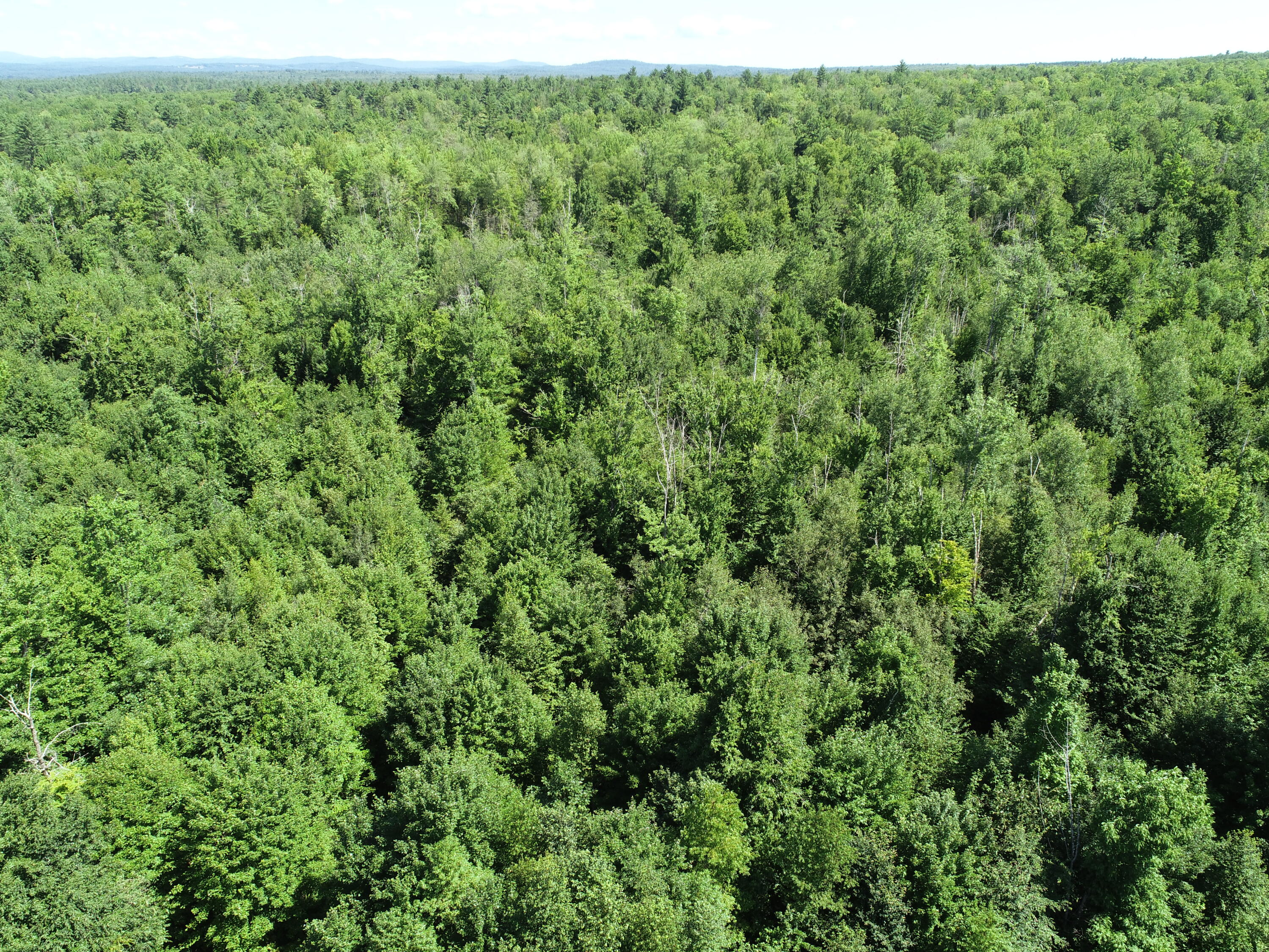 M9-l2 River Road Madison, ME 04950 - Photo 16 of 24 DJI_0010