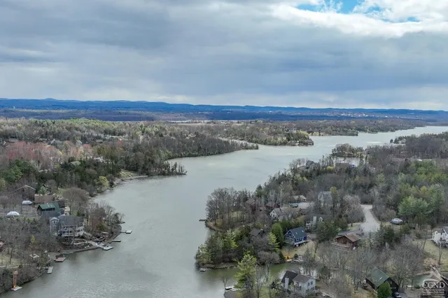 a view of a lake with a city