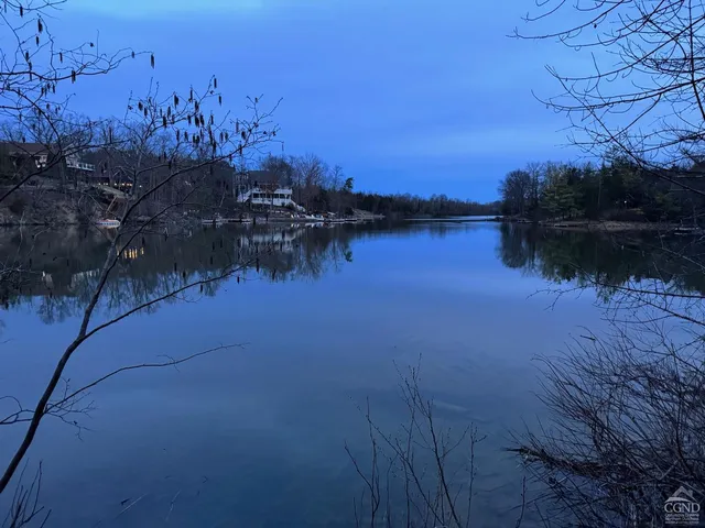 a view of three trees with an outdoor space