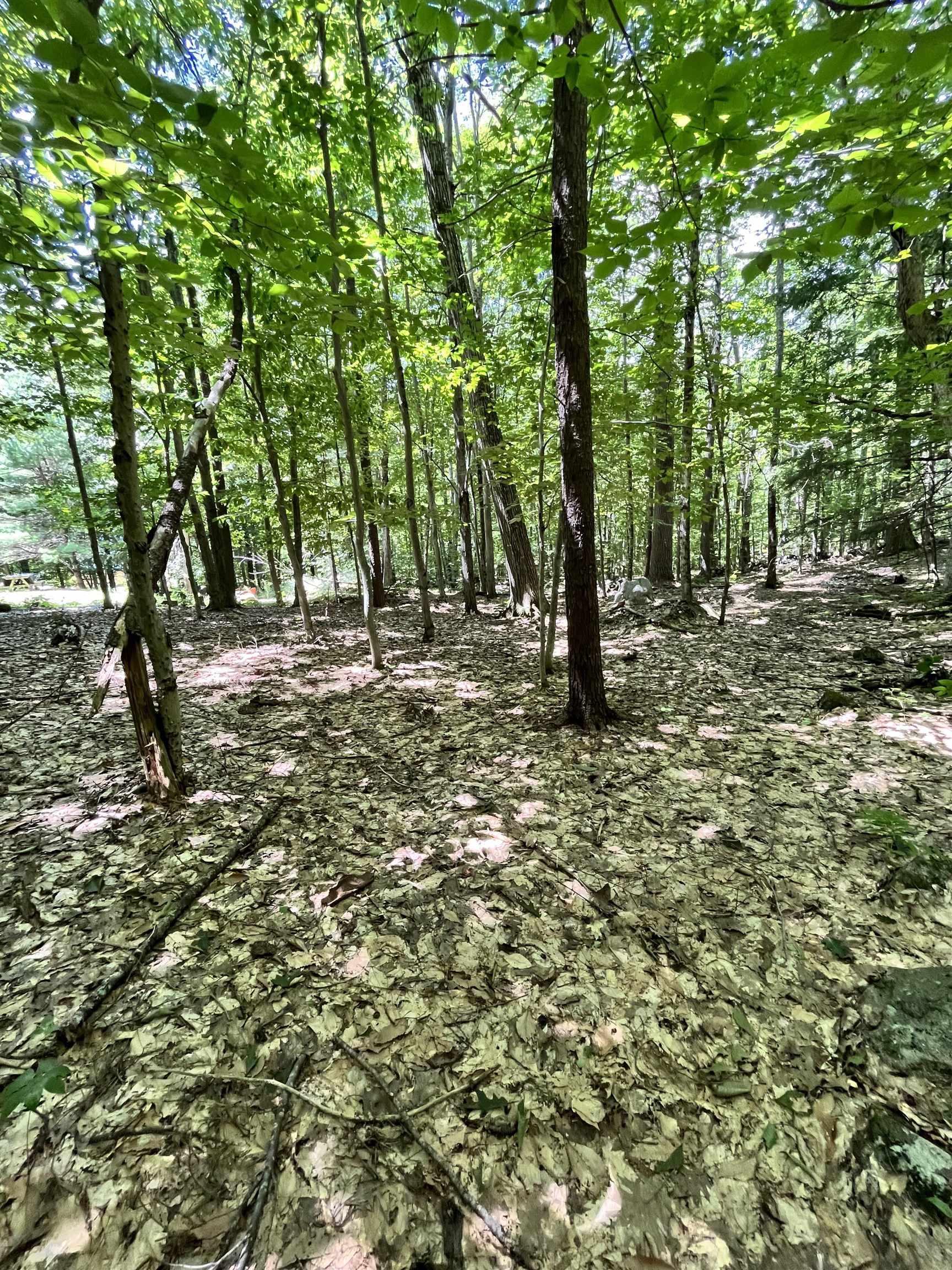 307 David Drive Wakefield, NH 03872 - Photo 19 of 30