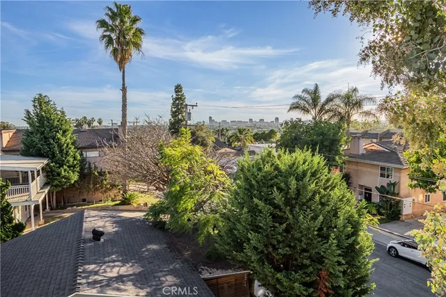 a view of a yard with plants and a fountain