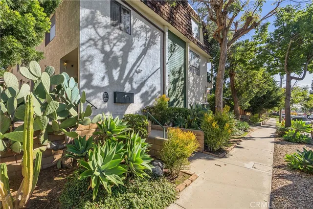 a view of a yard with plants