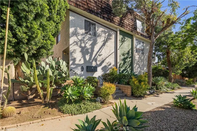 a view of a backyard with plants and large trees