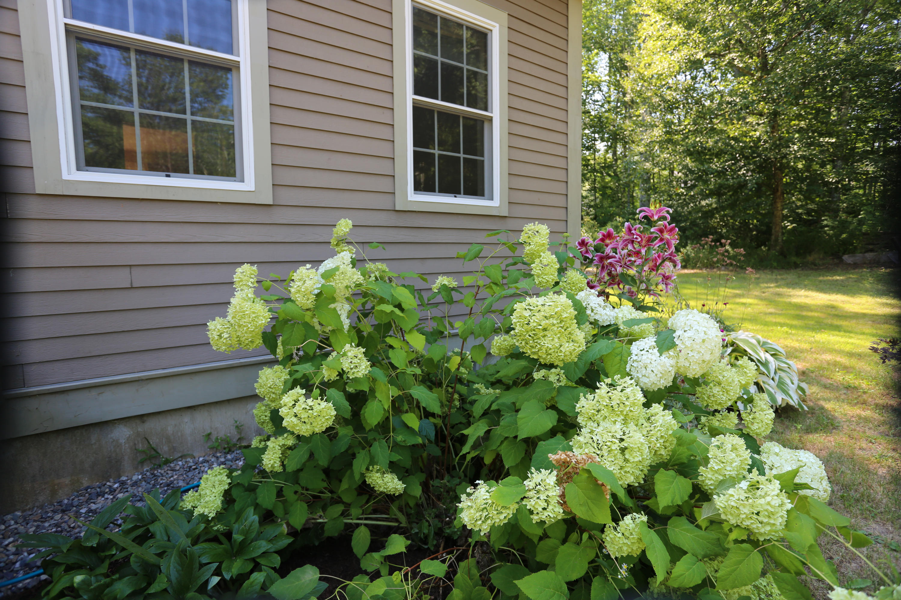 89 Belfast Road Northport, ME 04849 - Photo 6 of 48 5K8A1655 2