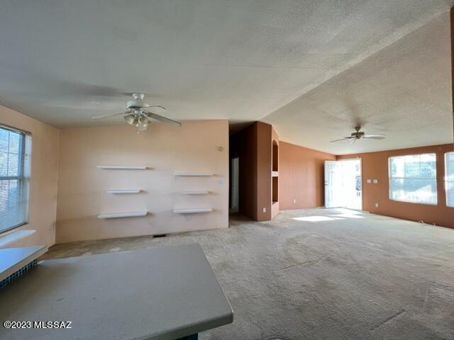4591 East Golder Ranch Drive Tucson, AZ 85739 - Photo 4 of 20 Gallery Image 4
