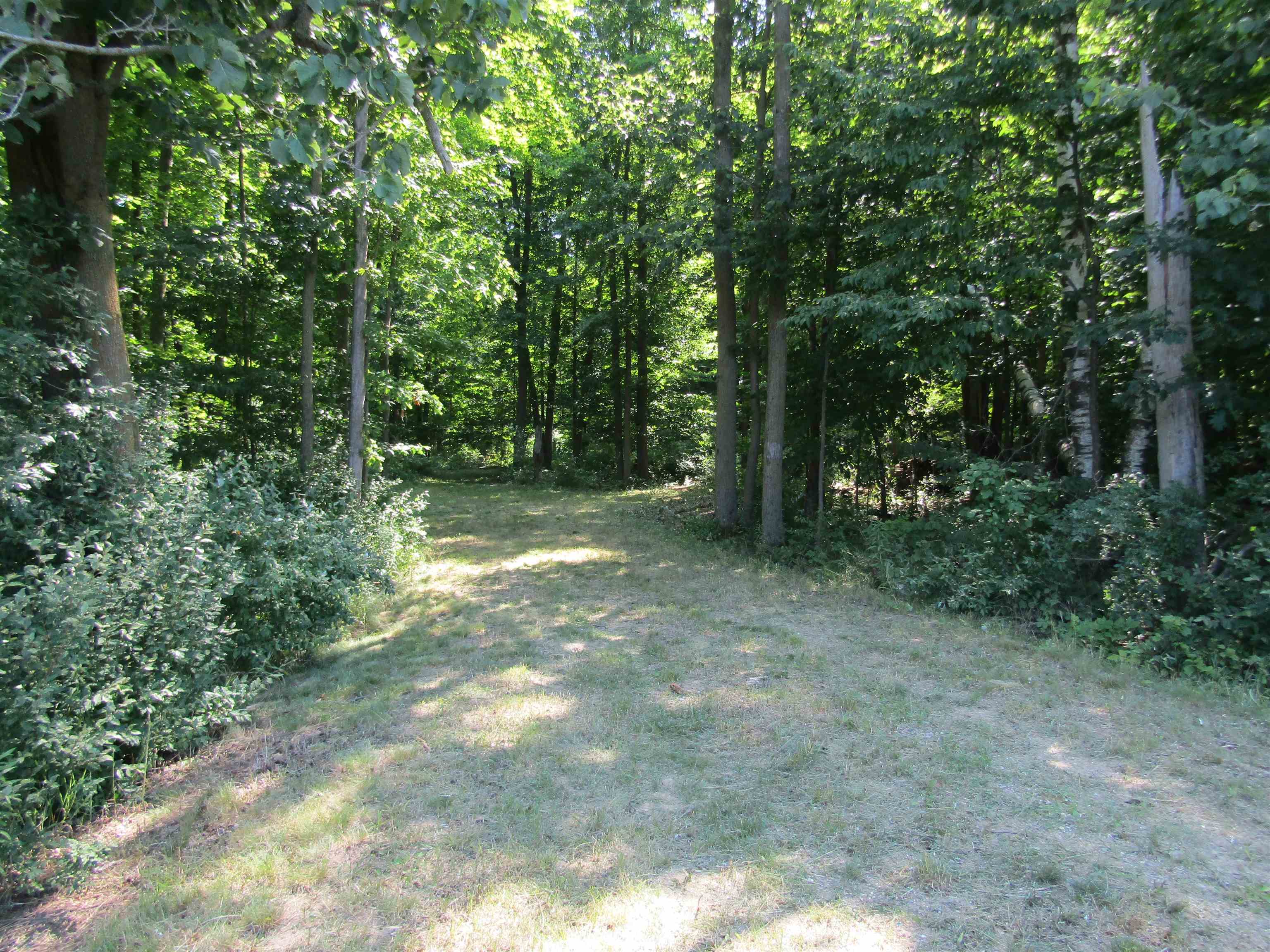 -vl Morrison Road West Branch, MI 48661 - Photo 1 of 8 Gallery Image 1
