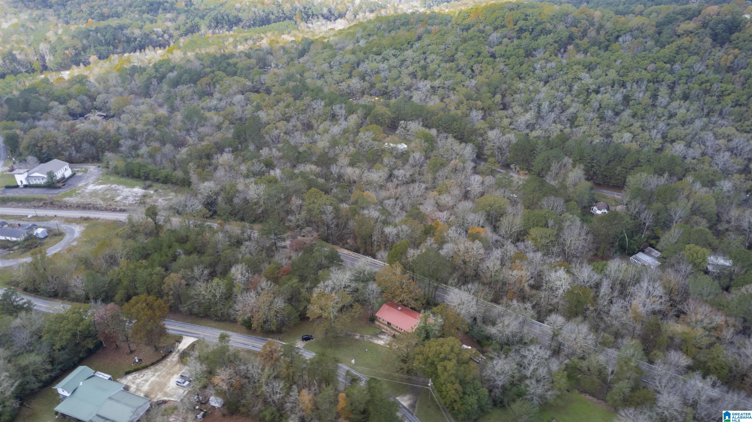 189 Valley Trail Warrior, AL 35180 - Photo 43 of 46
