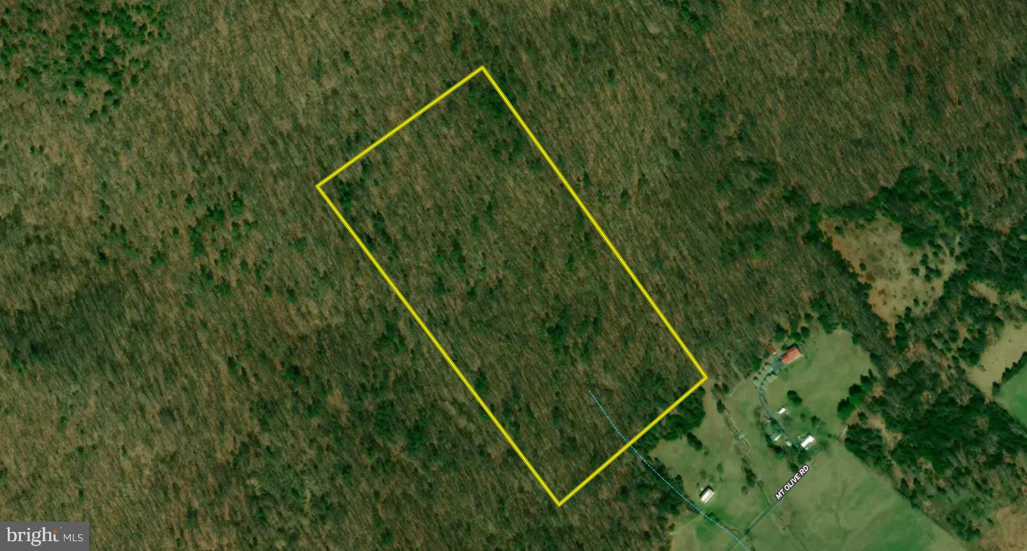Back Road Toms Brook, VA 22660 - Photo 31 of 37 Gallery Image 31