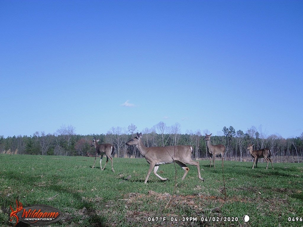 664 Sycamore Creek Road, Unit 3 Wingina, VA 24599 - Photo 4 of 6 Gallery Image 4